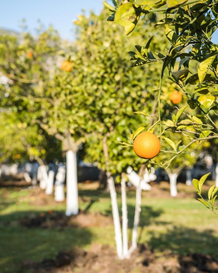 Oase Garden Hotel Çıralı 외부 사진